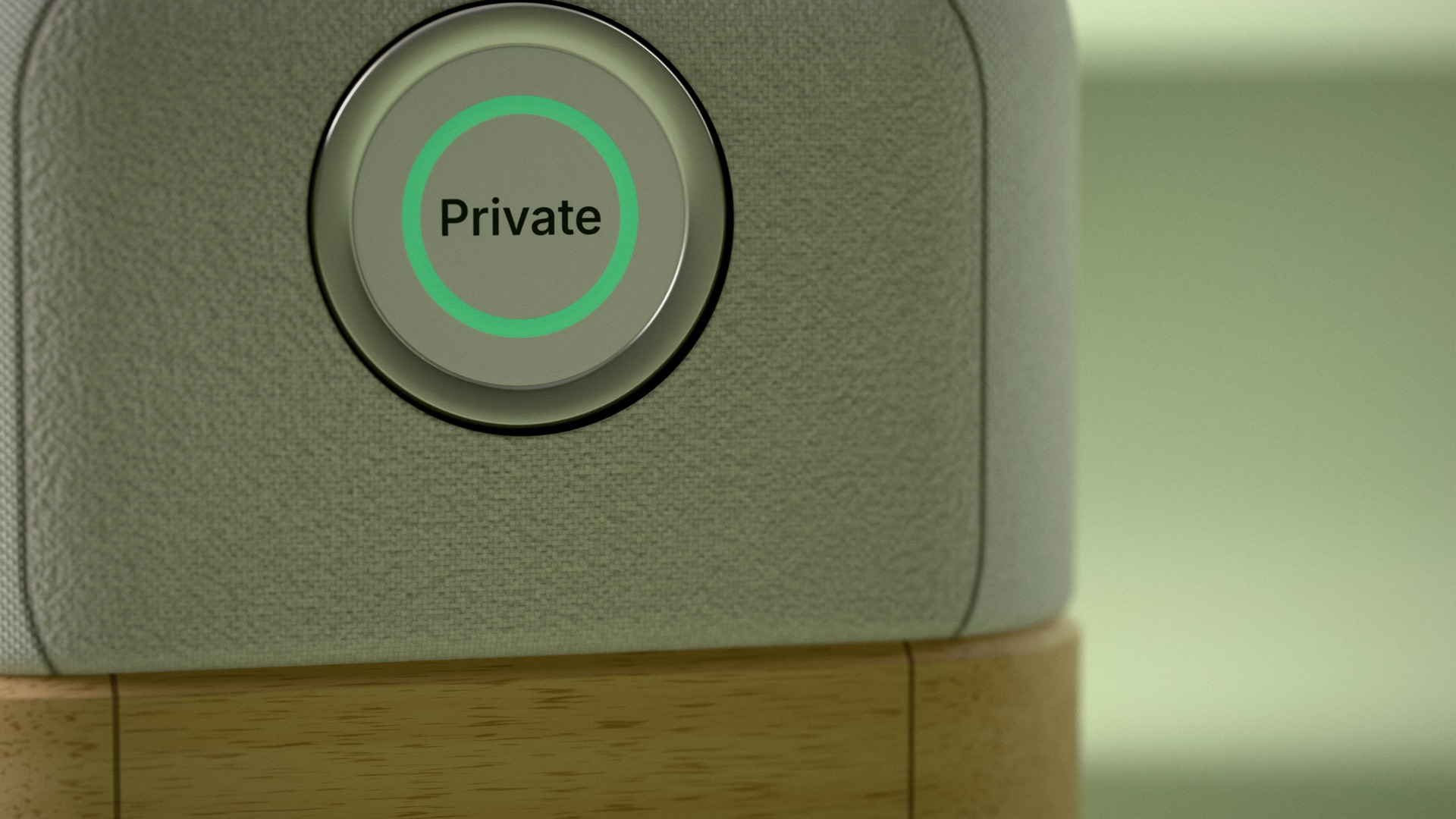 Concept render, not a photo of a real product: Close-up of the Private status disc and its green ring, above the oak base.